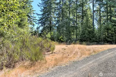 12 Acres Webb Hill Road, Union, WA 98592 - Photo 7