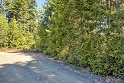 12 Acres Webb Hill Road, Union, WA 98592 - Photo 5