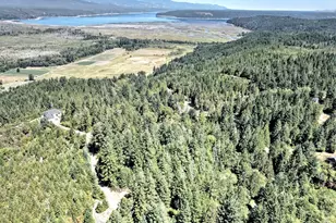 12 Acres Webb Hill Rd, Union, WA 98592 - Photo 1