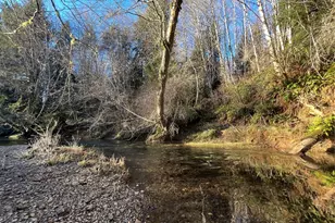 1329 State Route 4, Naselle, WA 98638 - Photo 15