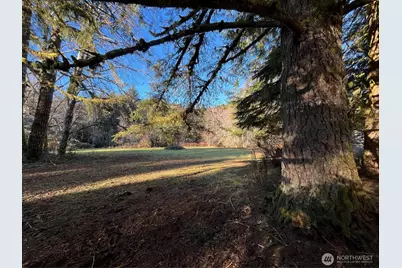 1329 State Route 4, Naselle, WA 98638 - Photo 11