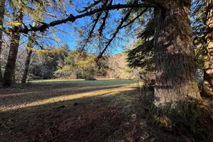 1329 State Route 4, Naselle, WA 98638 - Photo 11