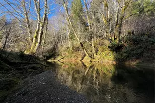 1329 State Route 4, Naselle, WA 98638 - Photo 13