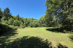 1329 State Route 4, Naselle, WA 98638 - Photo 9