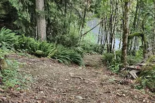 33040 NE 66th St, Carnation, WA 98014 - Photo 25