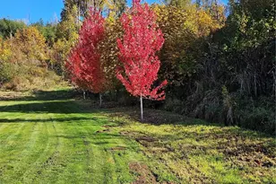 1851 Bloomhardt Rd, Raymond, WA 98577 - Photo 23