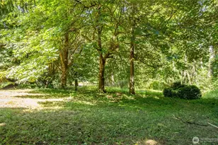 111 Spring Ct, Vader, WA 98593 - Photo 5