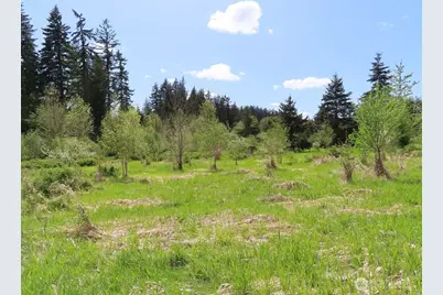 3898 State Route 6, Chehalis, WA 98532 - Photo 17