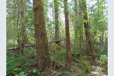 3898 State Route 6, Chehalis, WA 98532 - Photo 29