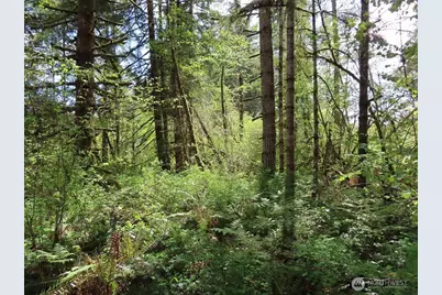 3898 State Route 6, Chehalis, WA 98532 - Photo 9