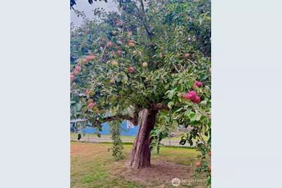 401 South Street, Centralia, WA 98531 - Photo 27