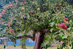 401 South St, Centralia, WA 98531 - Photo 27