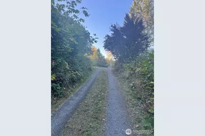 31410 Orville Road E, Graham, WA 98338 - Photo 39