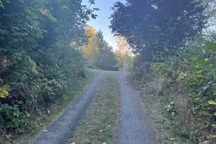 31410 Orville Rd E, Graham, WA 98338 - Photo 39