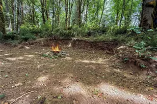 220 Tara Ln, Vader, WA 98593 - Photo 29