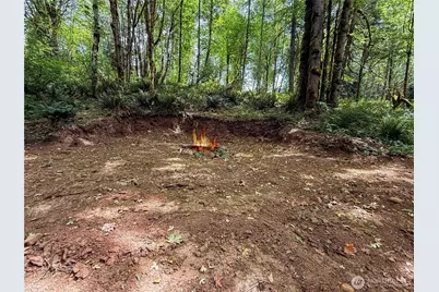 220 Tara Lane, Vader, WA 98593 - Photo 27