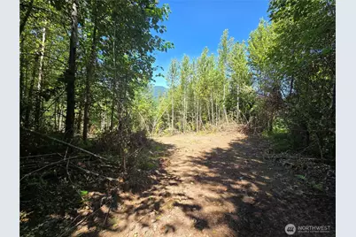 0 0 Highland Valley Road, Morton, WA 98356 - Photo 7