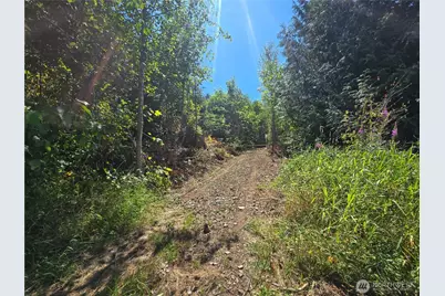 0 0 Highland Valley Road, Morton, WA 98356 - Photo 1