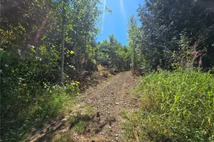 0 0 Highland Valley Rd, Morton, WA 98356 - Photo 1