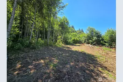 0 0 Highland Valley Road, Morton, WA 98356 - Photo 5