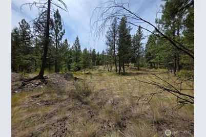 25 Outback Road, Oroville, WA 98844 - Photo 3