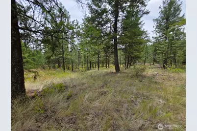 25 Outback Road, Oroville, WA 98844 - Photo 5
