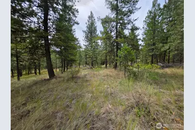 25 Outback Road, Oroville, WA 98844 - Photo 11