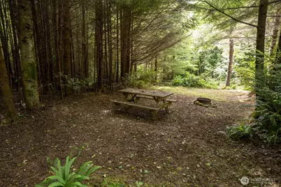 20860 Hoko-Ozette Rd, Clallam Bay, WA 98326 - Photo 17