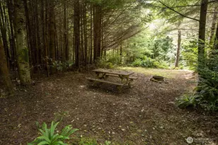 20860 Hoko-Ozette Rd, Clallam Bay, WA 98326 - Photo 17