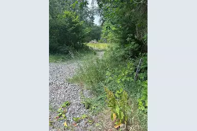 56002 E 317th Avenue E, Ashford, WA 98304 - Photo 3