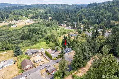 103 Carrolls Avenue, Carrolls, WA 98609 - Photo 31