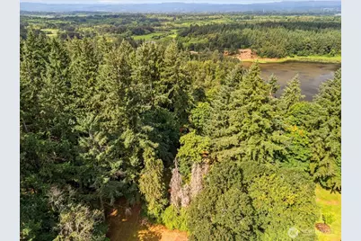 31315 NW 71st Avenue, Ridgefield, WA 98642 - Photo 9