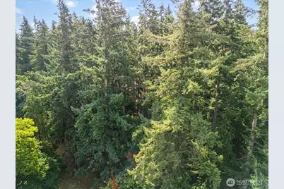 31315 NW 71st Avenue, Ridgefield, WA 98642 - Photo 7