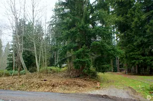 18219 E Spg Lk Rd, Arlington, WA 98223 - Photo 17