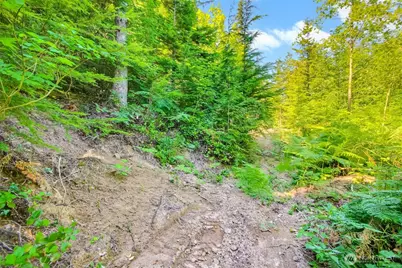 32750 343rd Ave SE, Ravensdale, WA 98051 - Photo 31