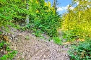 32750 343rd Ave SE, Ravensdale, WA 98051 - Photo 31