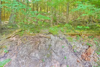 32750 343rd Ave SE, Ravensdale, WA 98051 - Photo 33