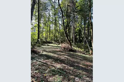0 NE Dawn Road, Bremerton, WA 98311 - Photo 5