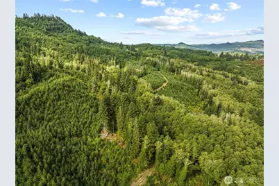 1 Lot A State Route 4 Highway, Skamokawa, WA 98647 - Photo 5