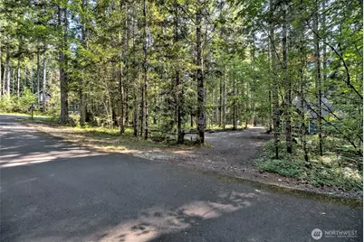 331 N Wynoochee Drive, Hoodsport, WA 98548 - Photo 23