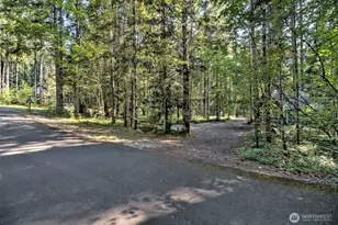 331 N Wynoochee Dr, Hoodsport, WA 98548 - Photo 23