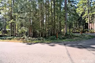 331 N Wynoochee Dr, Hoodsport, WA 98548 - Photo 25