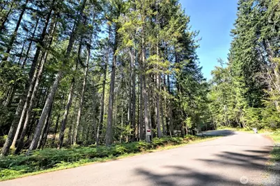 331 N Wynoochee Drive, Hoodsport, WA 98548 - Photo 27