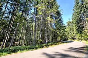 331 N Wynoochee Dr, Hoodsport, WA 98548 - Photo 27