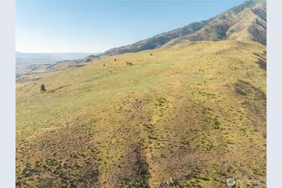 0 Goat Ridge Lot 6 - Hwy 153 #6, Pateros, WA 98846 - Photo 35