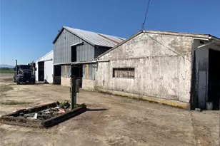 3037 Massey Rd, Everson, WA 98247 - Photo 19