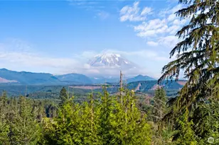 23119 164th St E, Buckley, WA 98321 - Photo 35