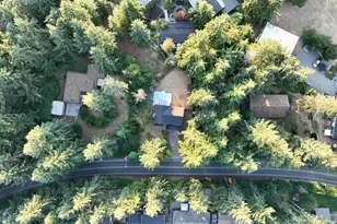 12521 Military Rd E, Puyallup, WA 98374 - Photo 39