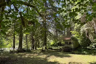 64054 E Cascade Dr, Marblemount, WA 98267 - Photo 5