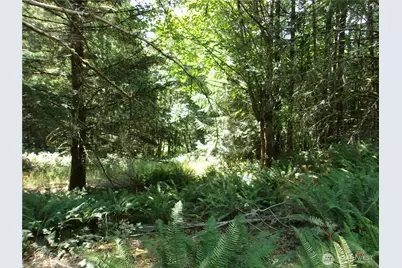 371 Green Mountain Lane, Brinnon, WA 98320 - Photo 15